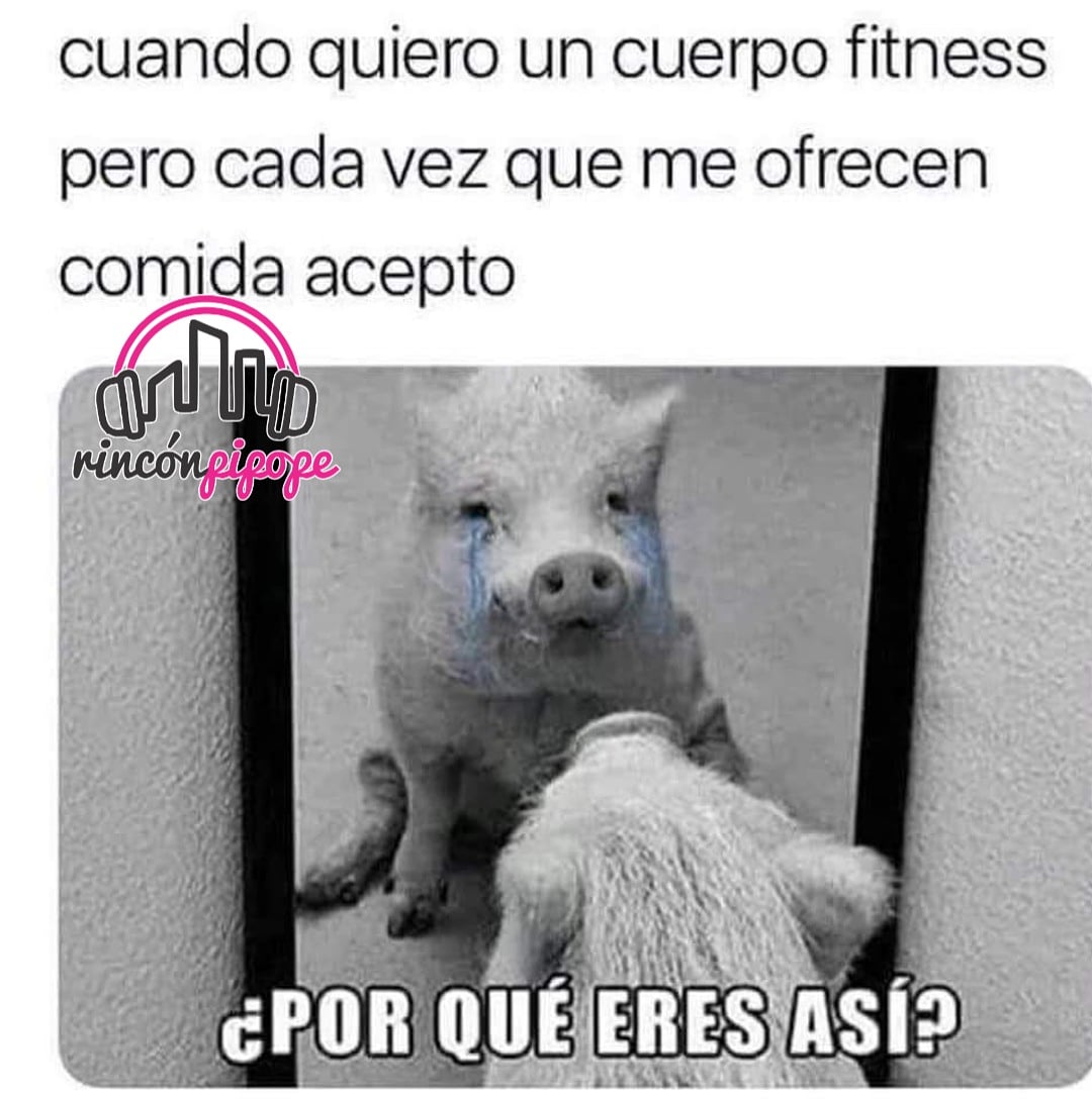 rinconpipope's tweet photo. ¿Poooooooooor qué me hiciste así Yisus? 😥
#Trucha #AlbertoEchartea #Kabra #Wiwis #RinconPipope ❤️ https://t.co/yHmf5BWJFm