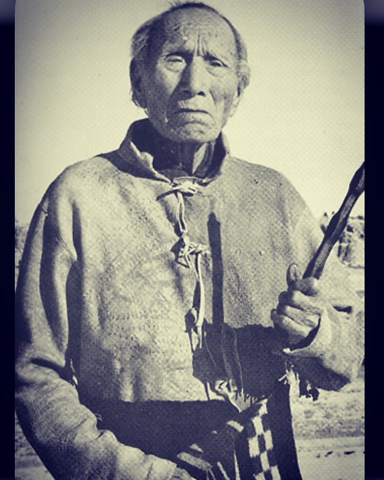 SaintKateriCtr's tweet photo. “All things belong to you: the two-leggeds, the four-leggeds, the wings of the air and all green things that live. You have set the powers of the four quarters to cross each other.“ Servant of God Nicholas Black Elk #nativecatholic #saint #catholic #indigenoussaints #nature https://t.co/uOvV5153EJ