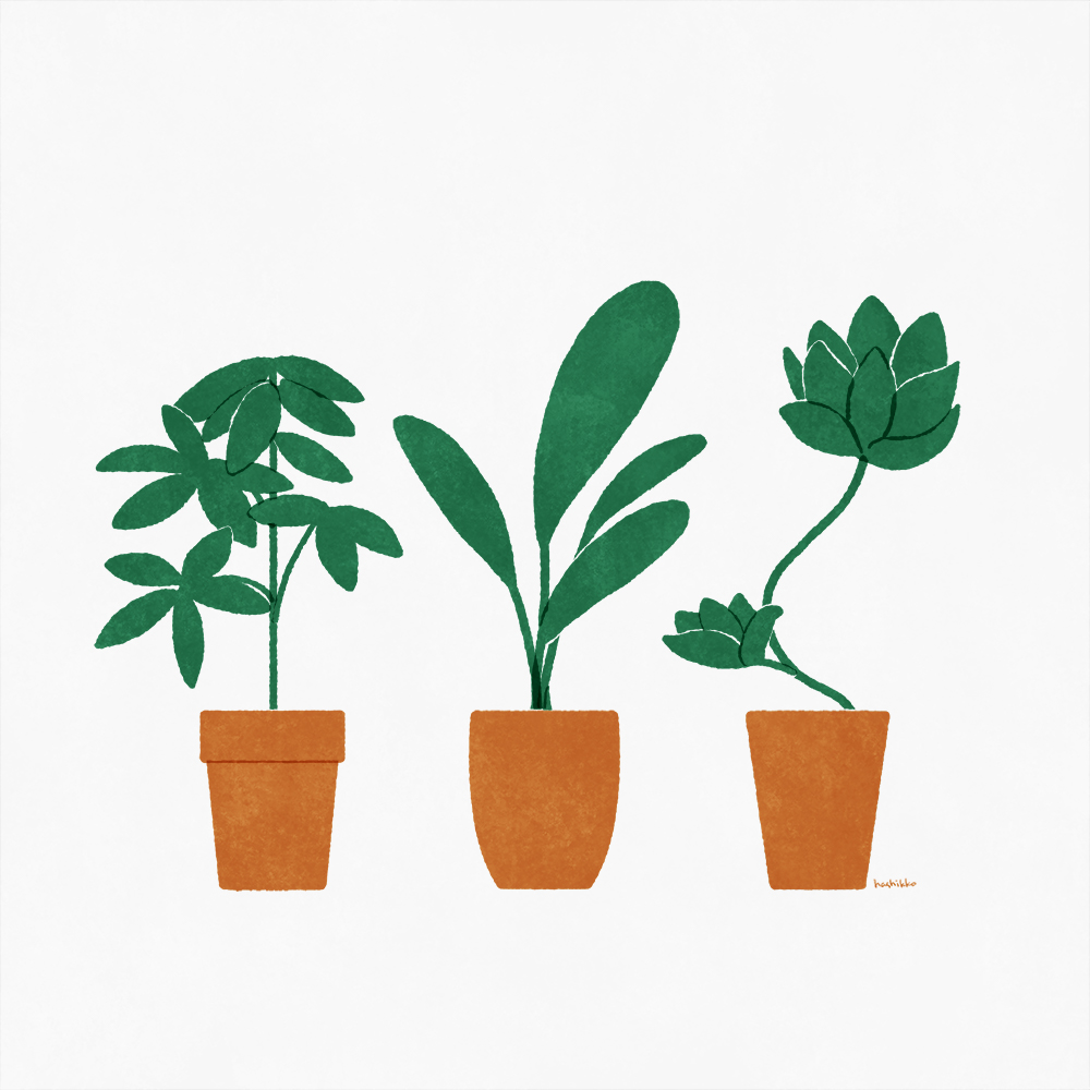 はしっこ イラストレーター 緑と暮らす イラスト Illustration 1日1絵 はしっこイラスト 観葉植物