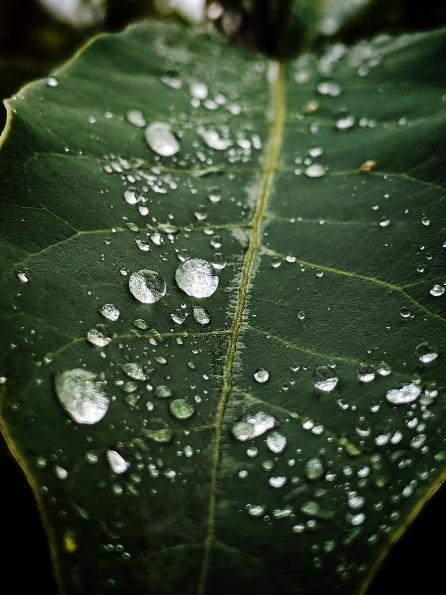 SazeenCr7's tweet photo. You like'em details?@madebygoogle 😉
#teampixel #shotonpixel3 https://t.co/mtRgJnAJC5