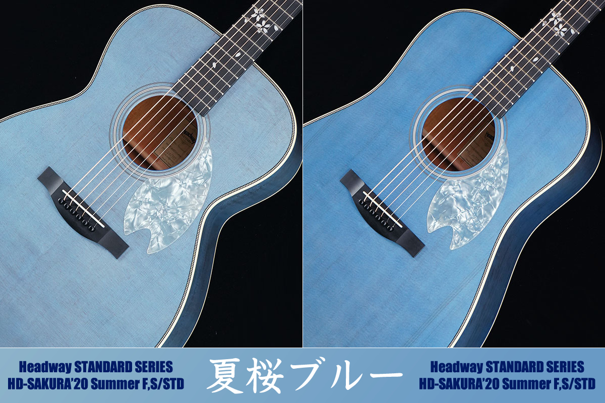 キャンペーンもお見逃しなく Headway アコースティックギター HD-SAKURA F,S STD