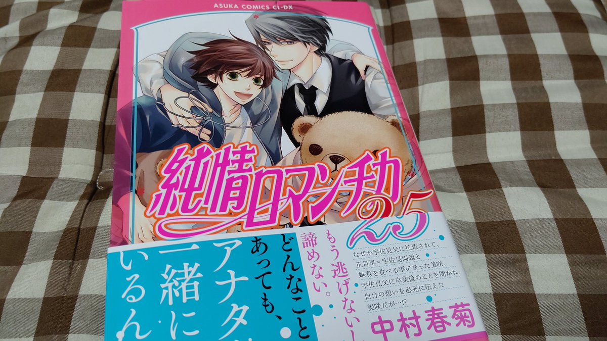 純情ロマンチカ25