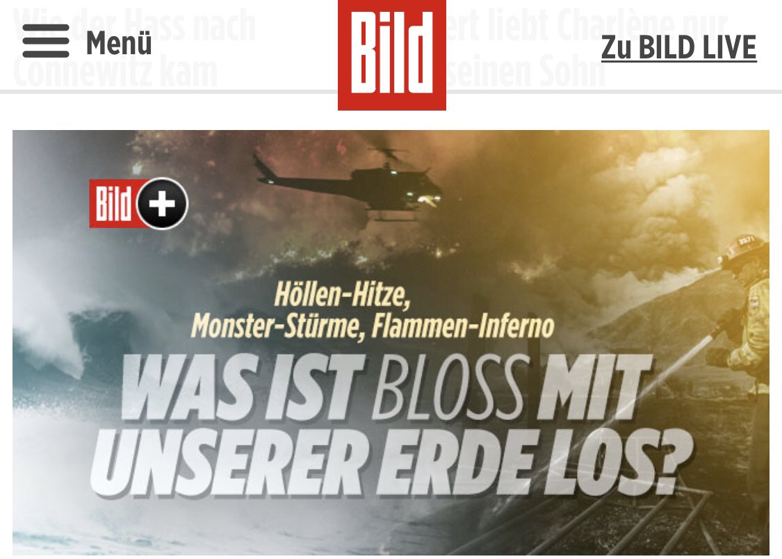 MKreutzfeldt's tweet image. Ich habe da ja so einen Verdacht...