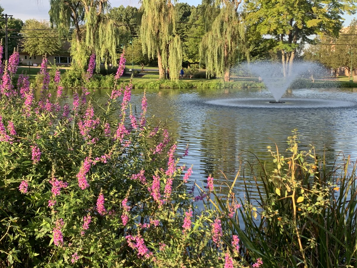 TrueBlueOtd's tweet image. Some pics from our pro-staffer @youngthepirate - nice bass caught using a Googan Krackin’ Craw! The views aren’t too bad either!! 

#bassfishing | #fishinglife | #Googan