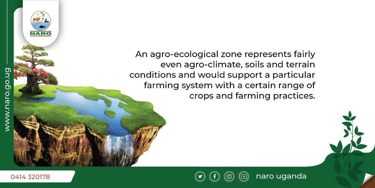 narouganda's tweet photo. NARO Fact: Uganda has 9 agro-ecological zones.
They are: Lake Victoria Crescent, Lake Albert Crescent, Western Rangelands, Eastern Highlands, Northern Moist Farmlands, West Nile Farmlands, South Western Highlands, Southern Rangelands and the Northern Farming System. https://t.co/MNObka1jgN