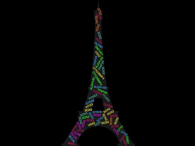 EyeGenes's tweet photo. Excited about our second international meeting on Developmental Ocular Genetics. Was going to be in Paris but now online and welcoming speakers from all round the world. #goodsocmeeting2020 https://t.co/9w19vcjGwd