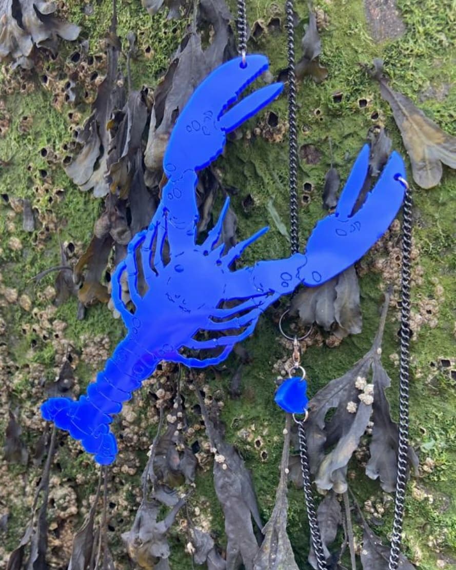 Belladonna_uk's tweet photo. Even the lobsters were out this sea-son! 🦞 

Our lobster necklaces are available in three colours: Red, Orange and Blue. Bespoke options are available, just send us a message ✉💖!

#shoplocal #beachtrips #acrylicjewellery #lobsternecklace #lobsterlove https://t.co/E0QN9wn2iZ