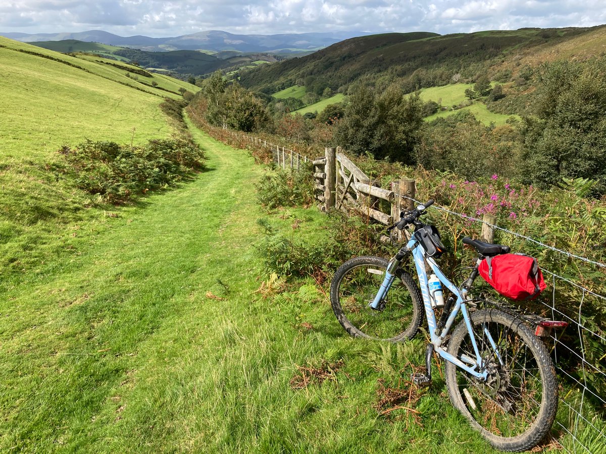 Lisa Barlow tweet media