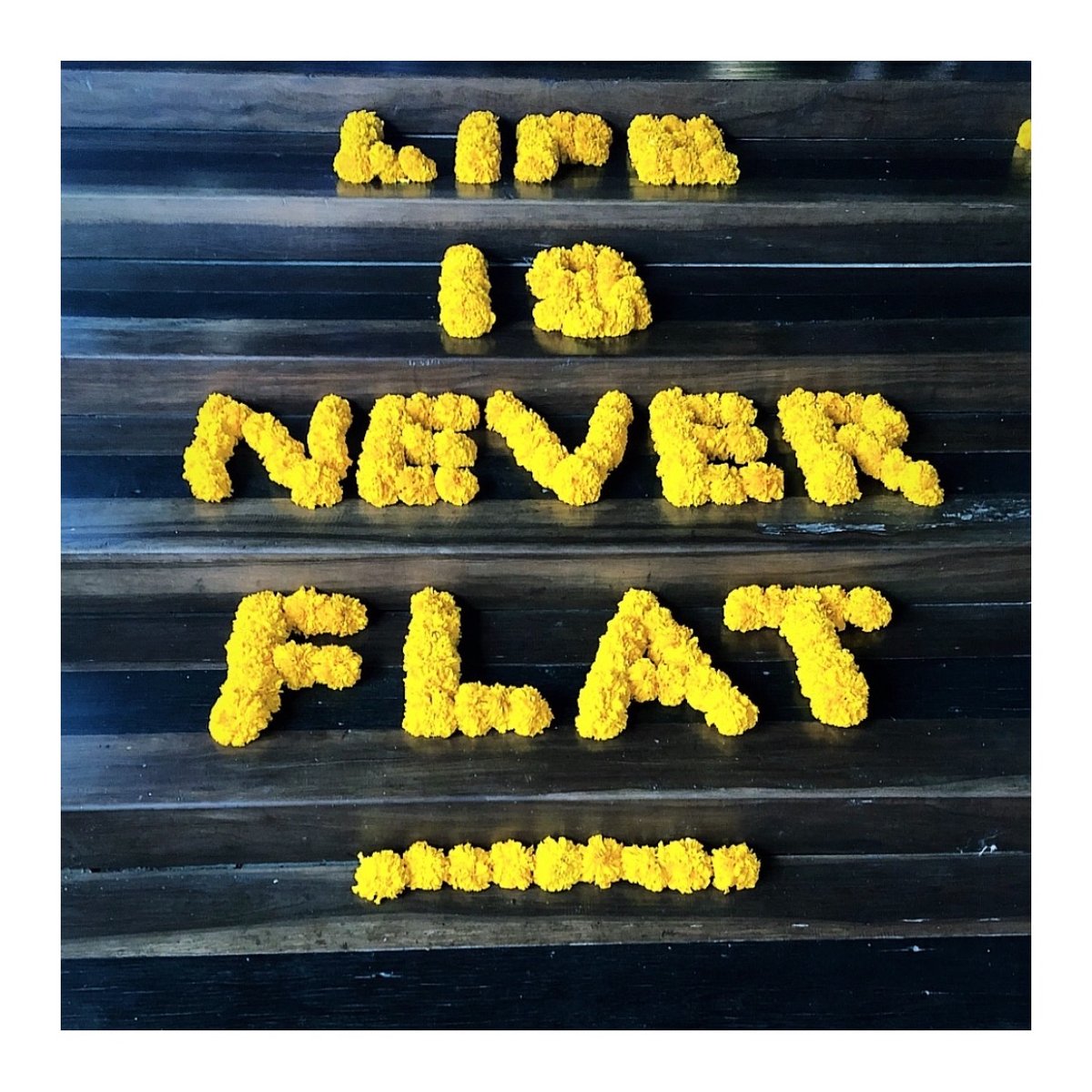 WellnessAnahata's tweet photo. Life is never flat, #life is an#adventure.  #travel as much as you can, as far as you can, as long as you can. You are an #explorer. Your mission is to observe the #world. Go find yourself, meet new people #follow your #heart #explore your #dreams. https://t.co/XwpfQ33zeW