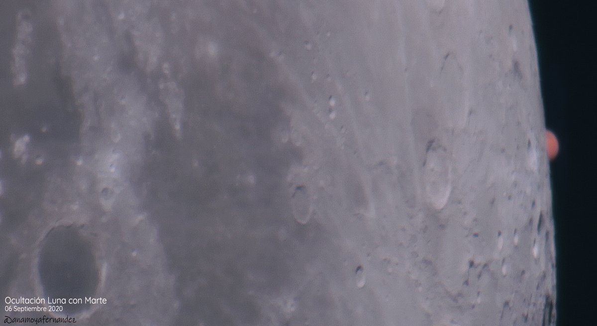 anam2fernandez's tweet photo. Ocultación de Marte por la Luna. Son videos apilados con un Dobson 12" Canon 70d + Barlowx2. Peñarroya-Pueblonuevo (Córdoba). #cielosESA #Astrophotography https://t.co/ryj1mv3aWT