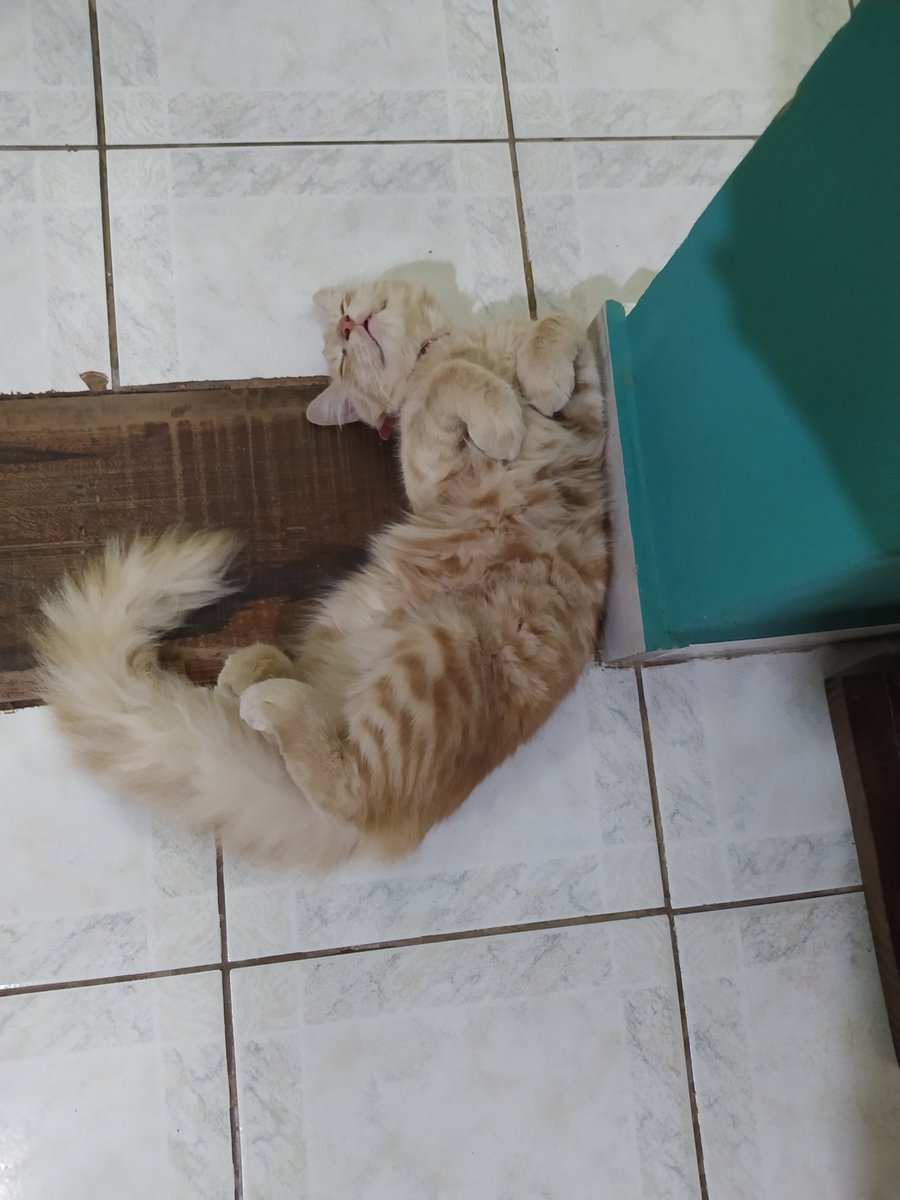 58 veces por día. Pues: