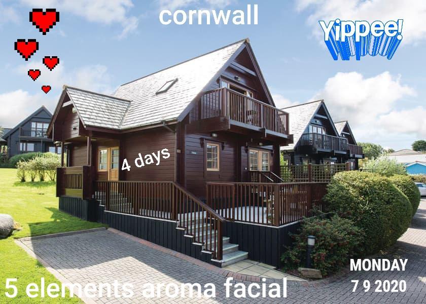 blues fans live here #KRO tweet media