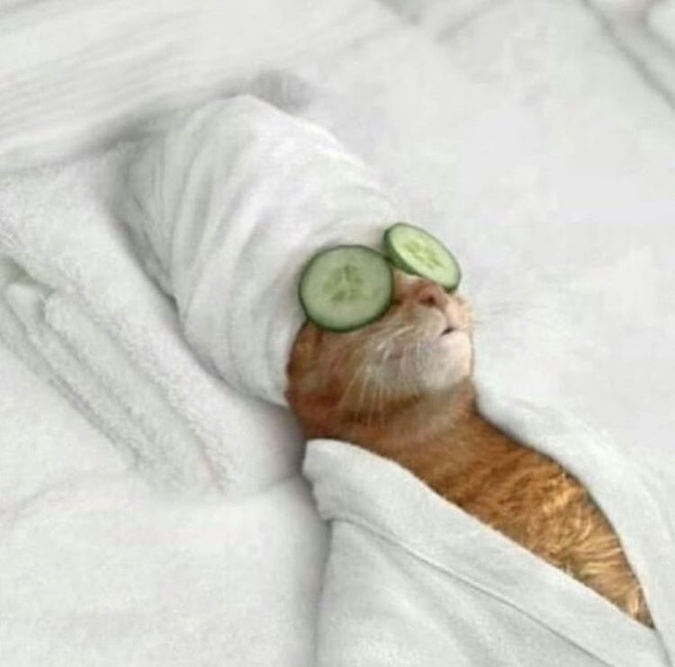 Üni sınavında iyi puan yapamamak , parasızlık , başarısızlık , bir sürü dert vs 
Ben;