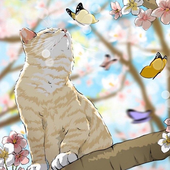 MarconLab's tweet photo. Mutluluk parfüm gibidir. Önce kendine sürersin, sonra etrafa yayılır🦋
Mutlu pazarlar🤗

#SonraKendimeDedimKi #pazar #mutluluk https://t.co/laHhfU6ePE