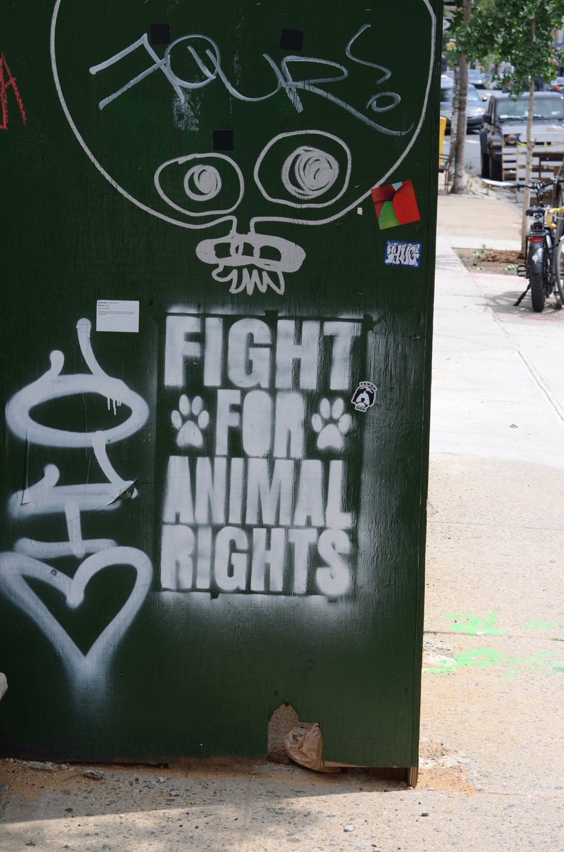 mjdogtraining's tweet photo. I’ll just leave this here @AnimalRightsCom https://t.co/d8cfveKicl