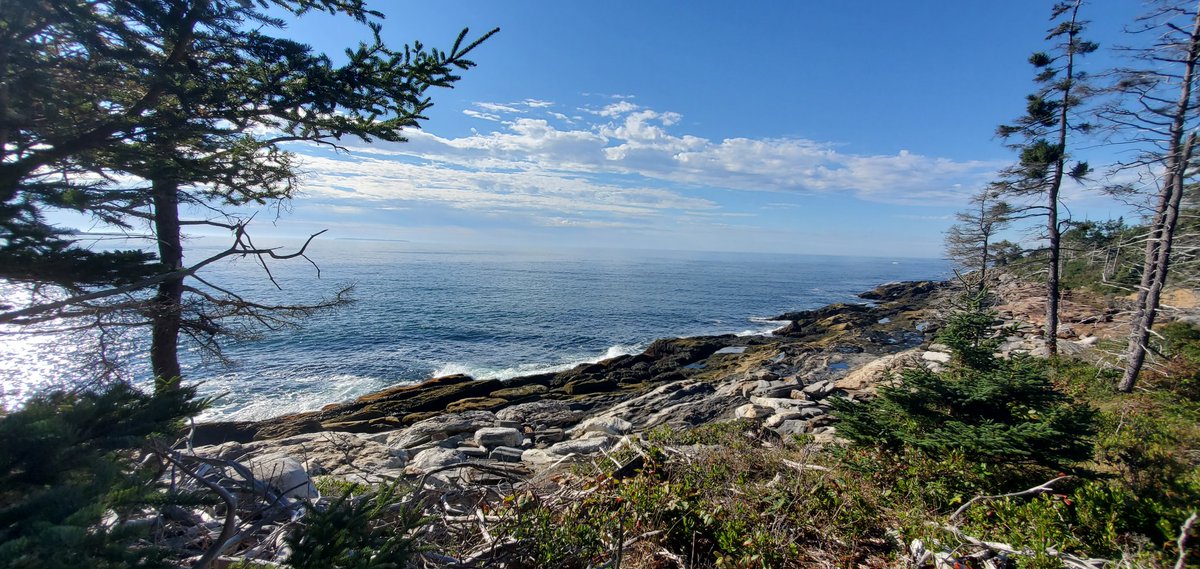 don_e_lyons's tweet photo. Muscongus Bay from LaVerna Preserve. #inMaine https://t.co/EMS1Ye442C