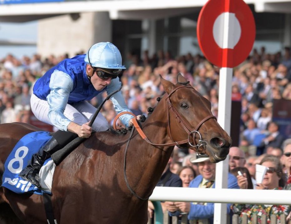 ODDSbible Racing tweet media