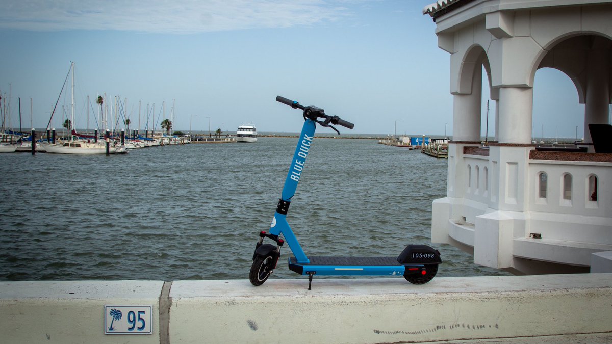 Blue Duck tweet media