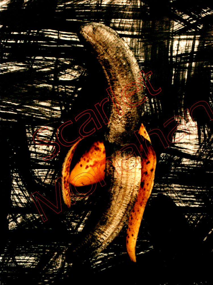 scarletmonahan's tweet photo. The naked fruith. https://t.co/mI9A14p2eQ #Art 3
#listening #CorruptionGreedandLies #SoundtrackMusic 89