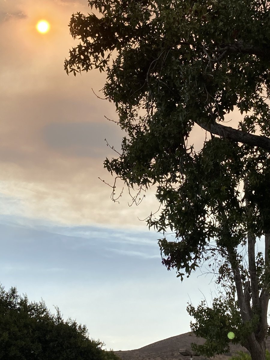 bmusicl's tweet photo. Eerie view from the pool. Temps 109 but I got to #swim lengths for real for the first time this year! #poolopen #joyinsimplethings #shotoniphone https://t.co/AFEjpWBbuG