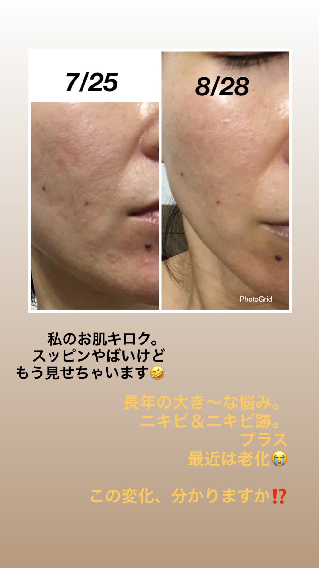 リミーエコツーペースト 安かっ 