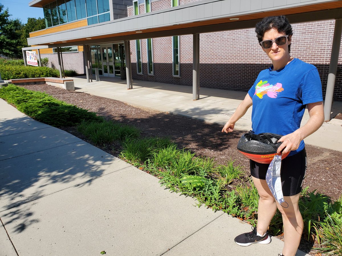 TreeRese's tweet photo. Look what we found going along the sidewalk outside of @DCEducare
#WildWatermelon #LocallyGrown #BikeDC https://t.co/TTfHkMyCL8