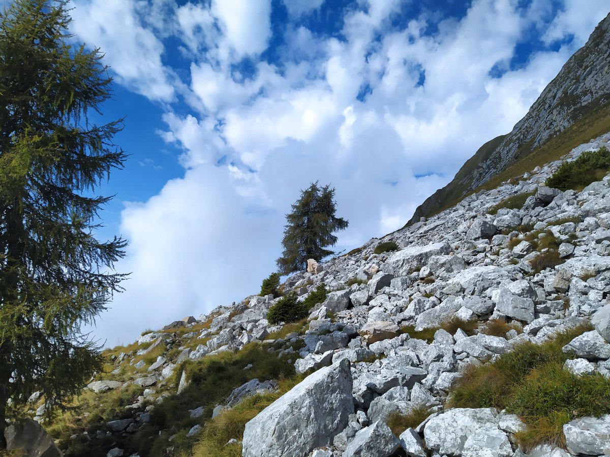 inf2180's tweet photo. ...oggi un po' di più...Monte Serva da #polpet #pontenellealpi #belluno https://t.co/uHMX479rtW