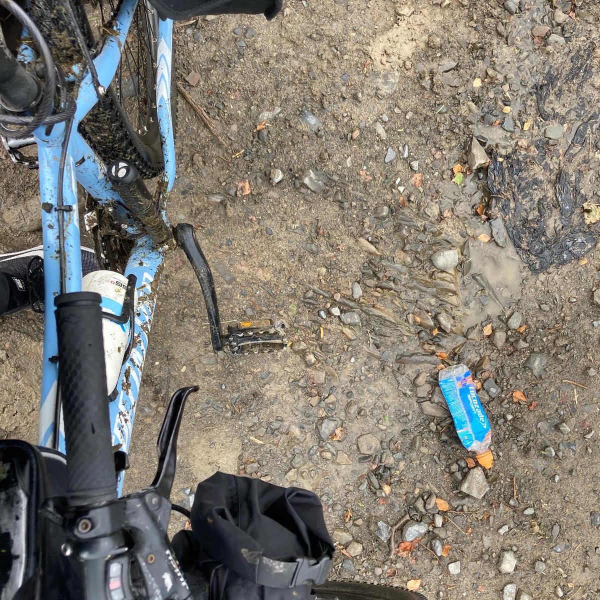 Lisa Barlow tweet media