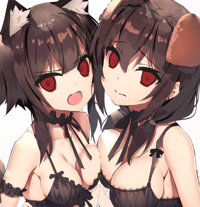 途中😌
わんにゃん🐶🐱 