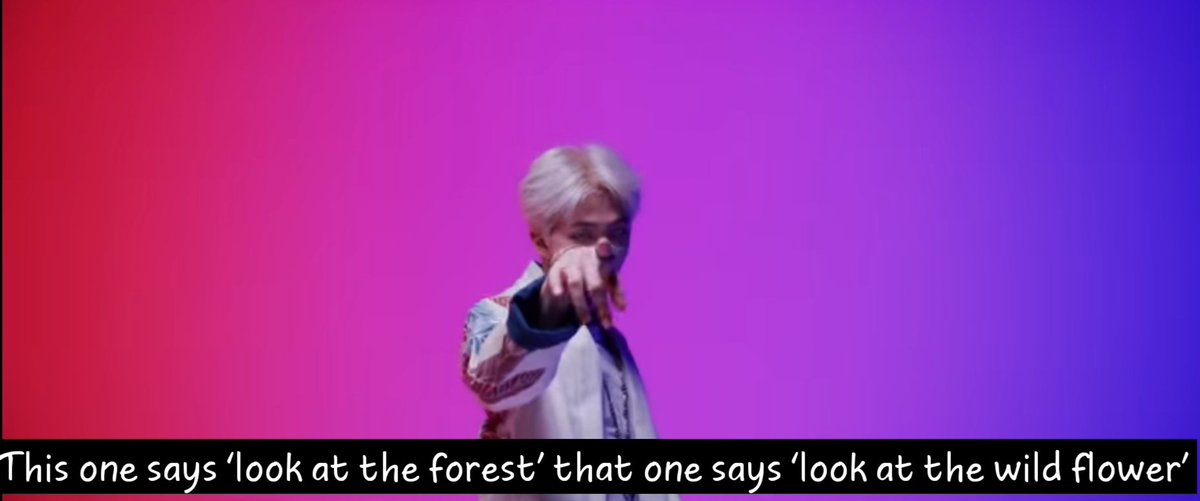 Compares & #39;run& #39; to encouragement, while & #39;stop& #39; to hate, & #39;forest& #39; to the bigger picture while & #39;flowers& #39; to the details as is evident, he confronts his insecurity and reluctance as Joon raps, "My shadow, I wrote it and called it hesitation", implying his admittance to his shadow+