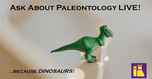 Starting in 10 minutes: Ask About Paleontology LIVE! Ask your questions on YouTube and Discord!

youtu.be/nC-oSa9OMm8