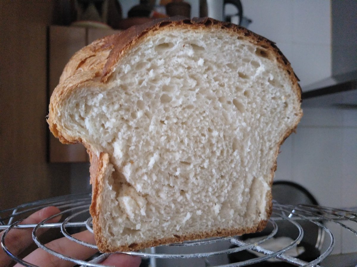 LeonorOsuna11's tweet image. Yo sigo: pan de caserío y pan de molde. Recetas de @ibanyarza y harinas de @elamasadero La de pan de molde me ha salido de aquella manera, pero la miga es espectacular. De todas formas, prefiero la receta de molde con #tanzhong de @MiriElinvitado