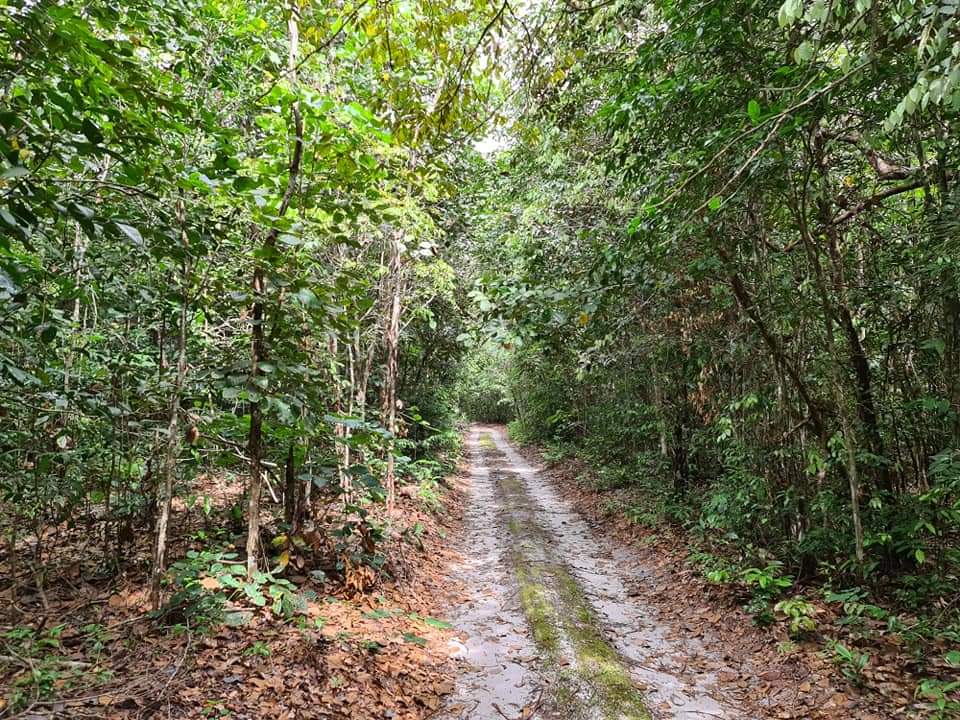 Yesterday,  lunch was awesome must give a shout out to Warren at Pandama Resort on the Soesdyke Highway. Washed down with some lime wine.