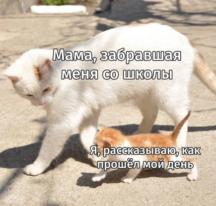 so_gud_so_tweet's tweet image. 