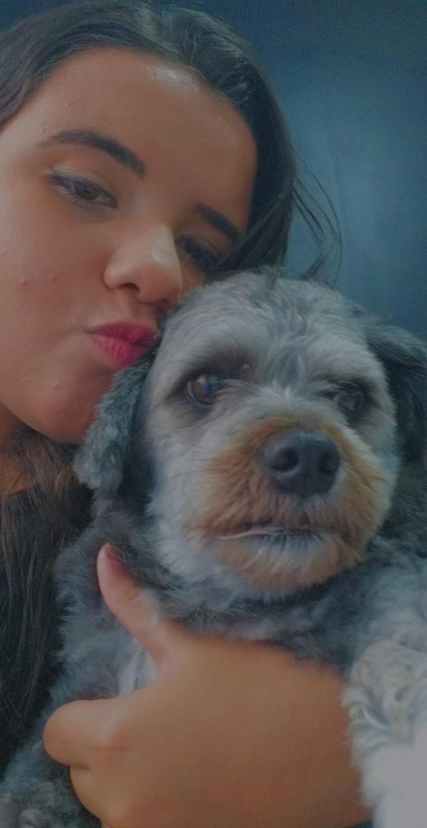 AnaClar21118798's tweet photo. Meu doguinho e muito meu filho. https://t.co/SNSISrOeZl