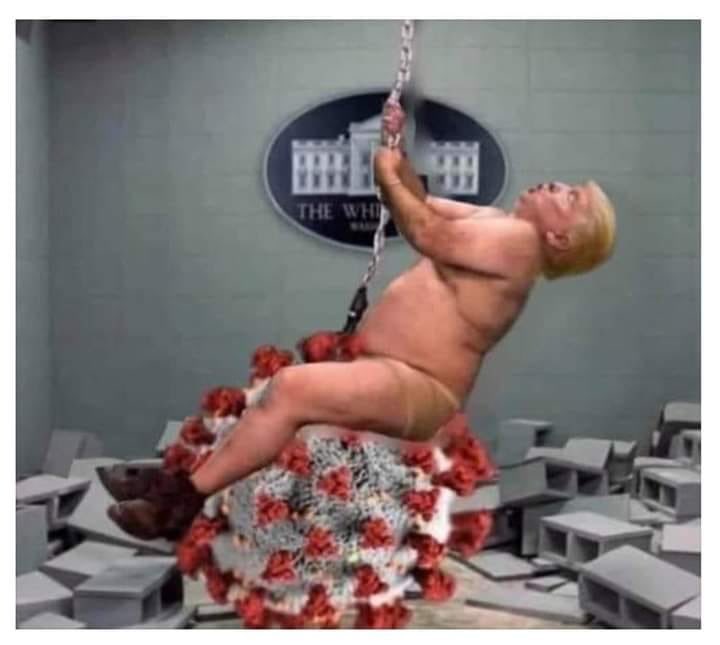 trumpfilth's tweet image. #PoltroonTrump #DraftDodgerDonnie is a degenerate sociopath liar, grifter, mirror whore, and lifelong COWARD.  His #trumpFilth Losers are nihilistic cult suckers easily herded by bigotry, amoral self-righteousness, and a hatred of core American values for ALL.