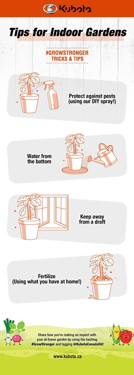 KubotaCanadaLtd's tweet photo. Calling our #UrbanFarmers, here are quick tips on maintaining your indoor gardens!
#GrowStronger #VictoryGardens
#KubotaProud #FarmNation #UrbanFarming https://t.co/9UJFKuyt1X