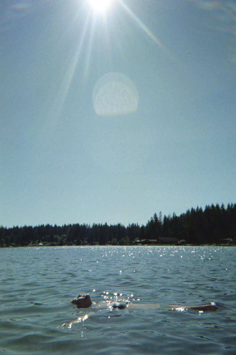 last summer on the lake (disposable camera edition)