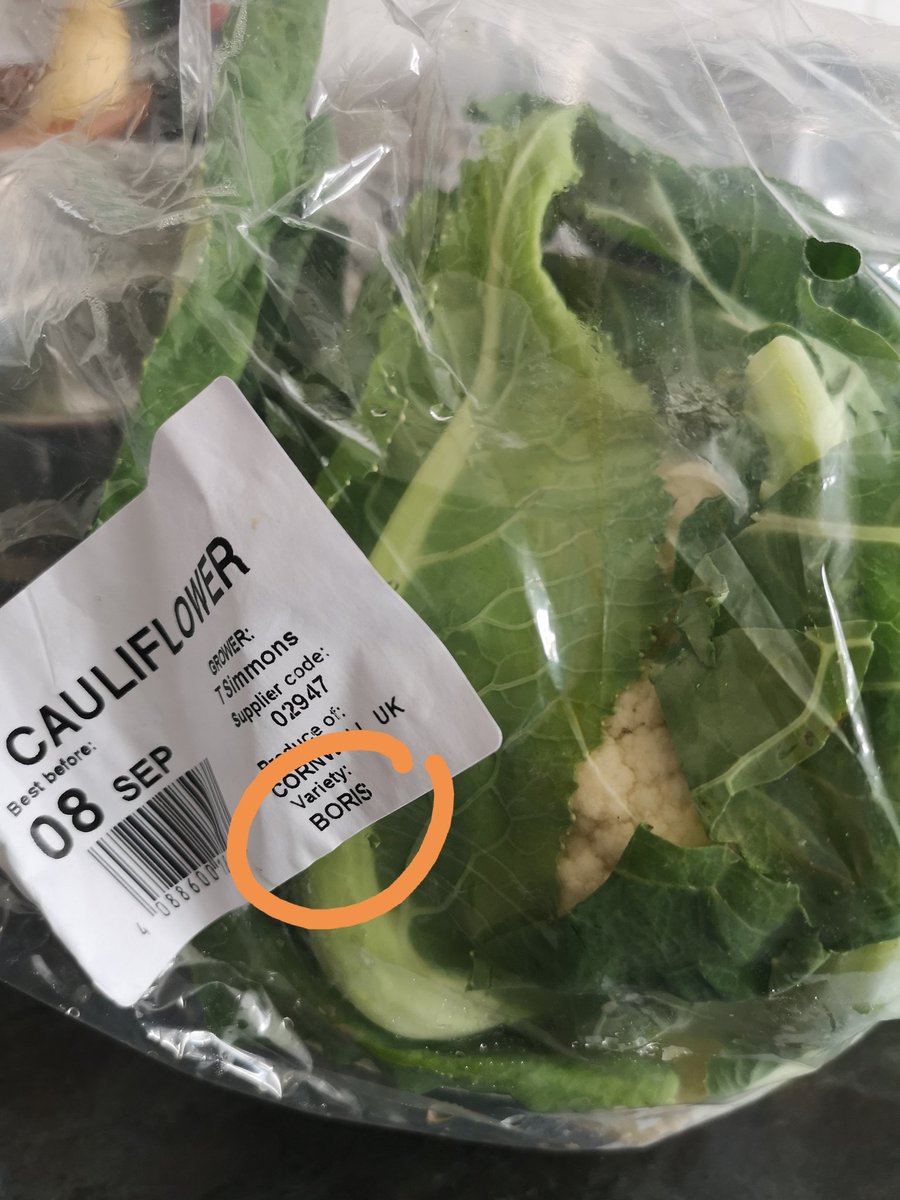 GemmaKerry1's tweet photo. Thought my cauliflower looked familiar
#Boris
#BorisHasFailedTheUK
#BorisHasFailedBritain https://t.co/lgo09SW9JF