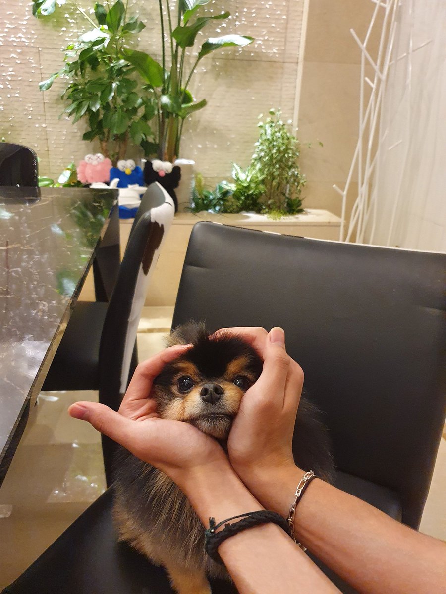 staephyungie's tweet photo. HAPPY BIRTHDAY, TANNIE! 🎉🥺 Thank you for making our Taehyungie happy! 💜 @BTS_twt 

#3YearsWithYeontan
#RockStarTannie https://t.co/GNVUZ86lYf