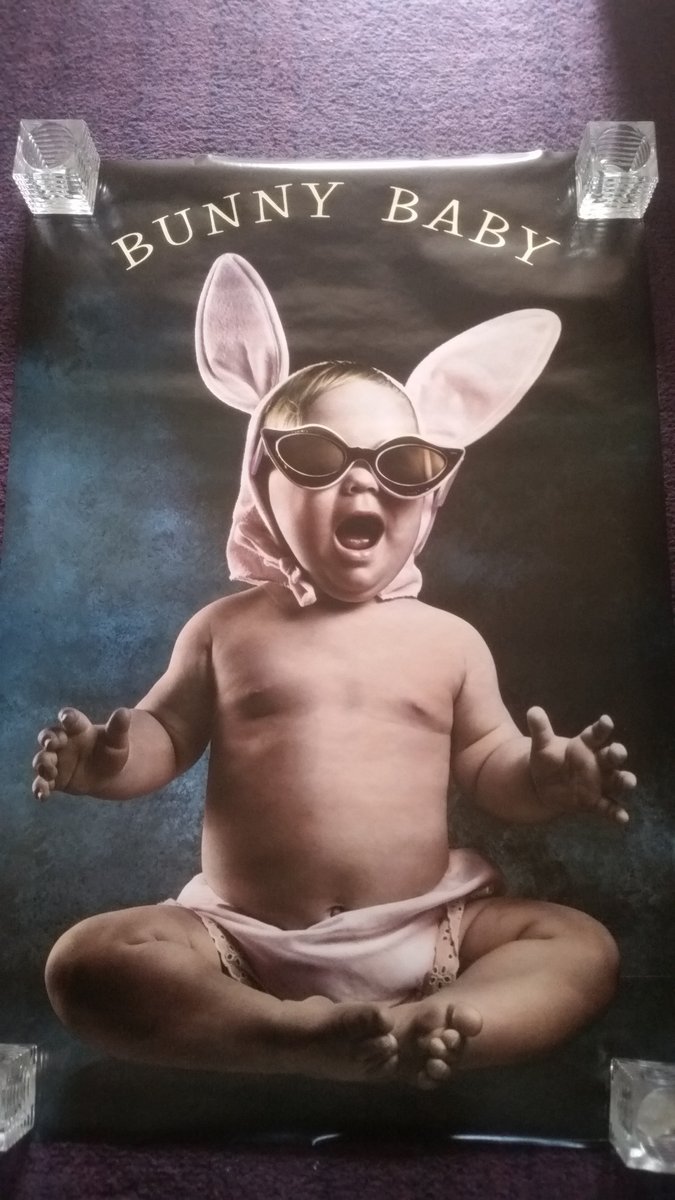 knoxy381's tweet image. 