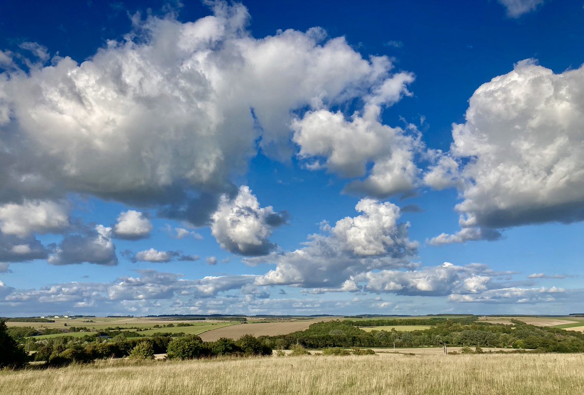 markbudd2's tweet image. Stunning views over the #Salisbury plains. It’s nice to just sit and take in the view. @CloudAppSoc @MindfulEveryday @VisitSalisbury_ @LoveNature