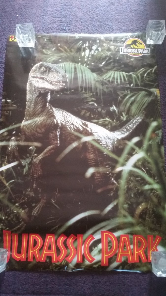 knoxy381's tweet image. 