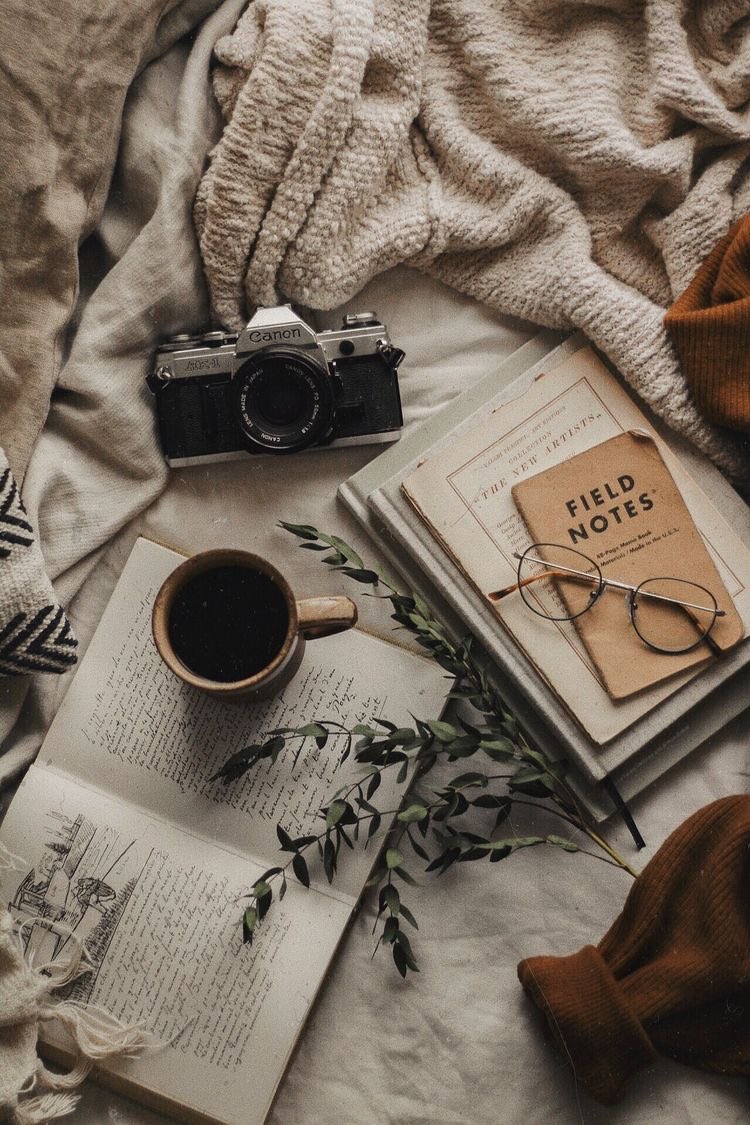𝐏𝐢𝐩𝐞 lll tweet media