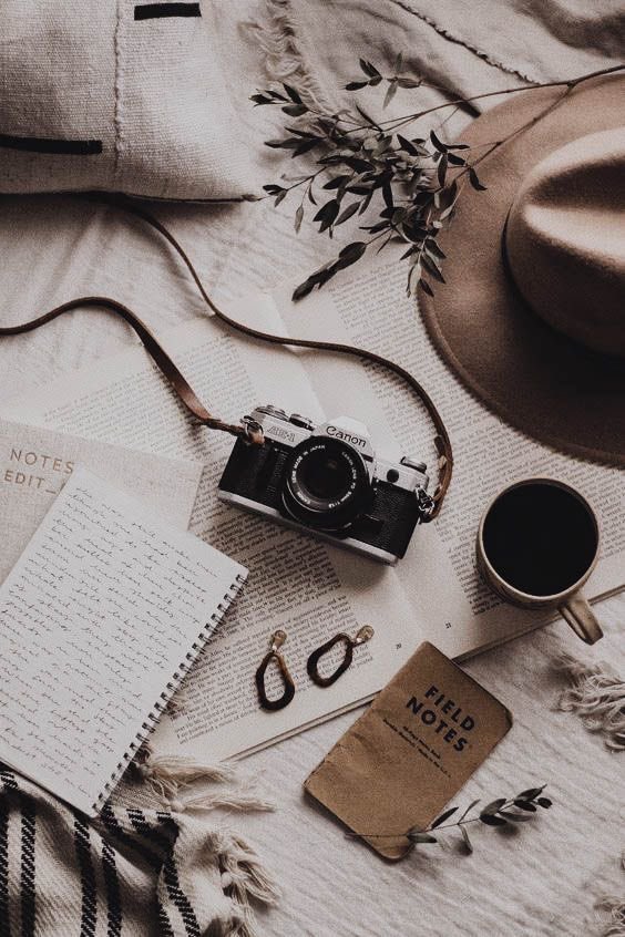 𝐏𝐢𝐩𝐞 lll tweet media