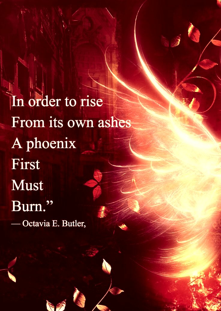 sista_sohl's tweet photo. Good Morning! Who else is excited about the N E W * C H A P T E R? *the page turns over and it reads "Phoenix Shores" I am 🙋♀️#phoenixshores #slcommunity #secondlife #makingmemories #furiends #furry #phoenix #slclub #slhangout #sllounge https://t.co/usmUxkNlHc