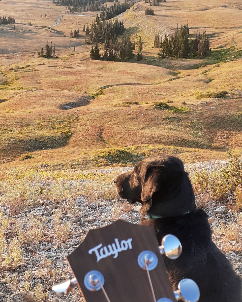 Bikercode1's tweet image. Solitude!
Thank you @yourguitarsage and @MartySchwartz for making this possible.