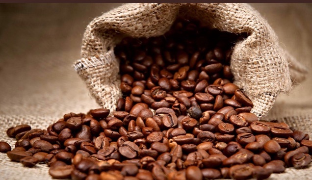 ecroporigin's tweet photo. Do you want to know the story behind your coffee? 
#ecroporigin #coffee #coffeefarming #agriculturetechnology #agricultureandfarming #agriculturadigital https://t.co/Wl6ekaR2Np