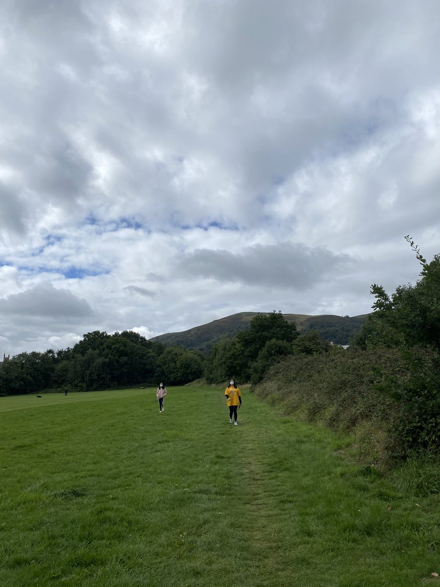 Msj_Boarding's tweet photo. A great day for a dog walk. #iloveboarding https://t.co/TGQwXxc66c
