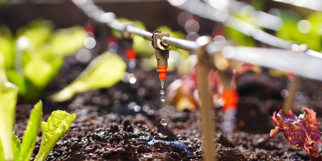 principal's tweet photo. Rising water bills this summer? Consider using drip-smart irrigation or planting drought-tolerant vegetation to reduce demand. Check out more options from @EPA https://t.co/4gmnf81ZxG #SustainabilitySunday #SaveWater https://t.co/9ZiemcI0yF